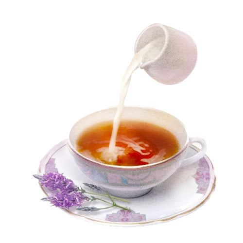 JILL STUART Milk Tea Blend Hand Cream | Ultra-Moisturizing Lotion with Shea Butter & Tea Extract