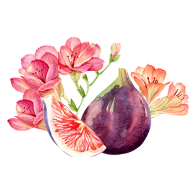 JILL STUART Hand Cream “Fig & Freesia” | Nourishing Hand Care with Raspberry, Avocado & Edelweiss Extract