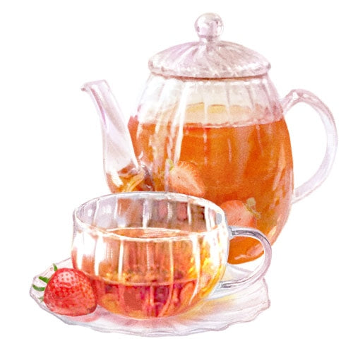 JILL STUART Hand Cream “Strawberry & Tea” | Fresh & Sweet Hydration with Black Tea & White Strawberry