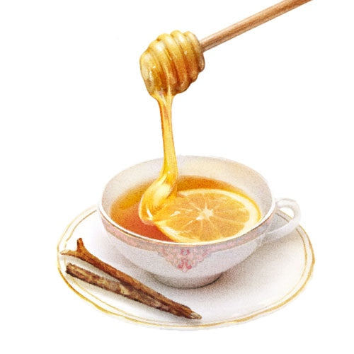 JILL STUART Hand Cream “Honey Citron Tea” | Cozy Citrus & Honey Hydration for Soft, Smooth Hands