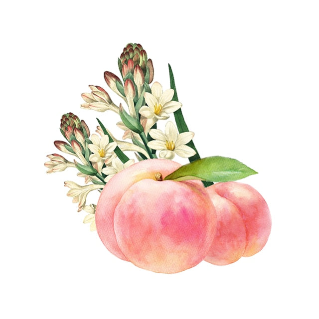 JILL STUART Hand Cream “Peachy Tuberose” | Fruity Floral Hydration with Peach & Rose Extracts