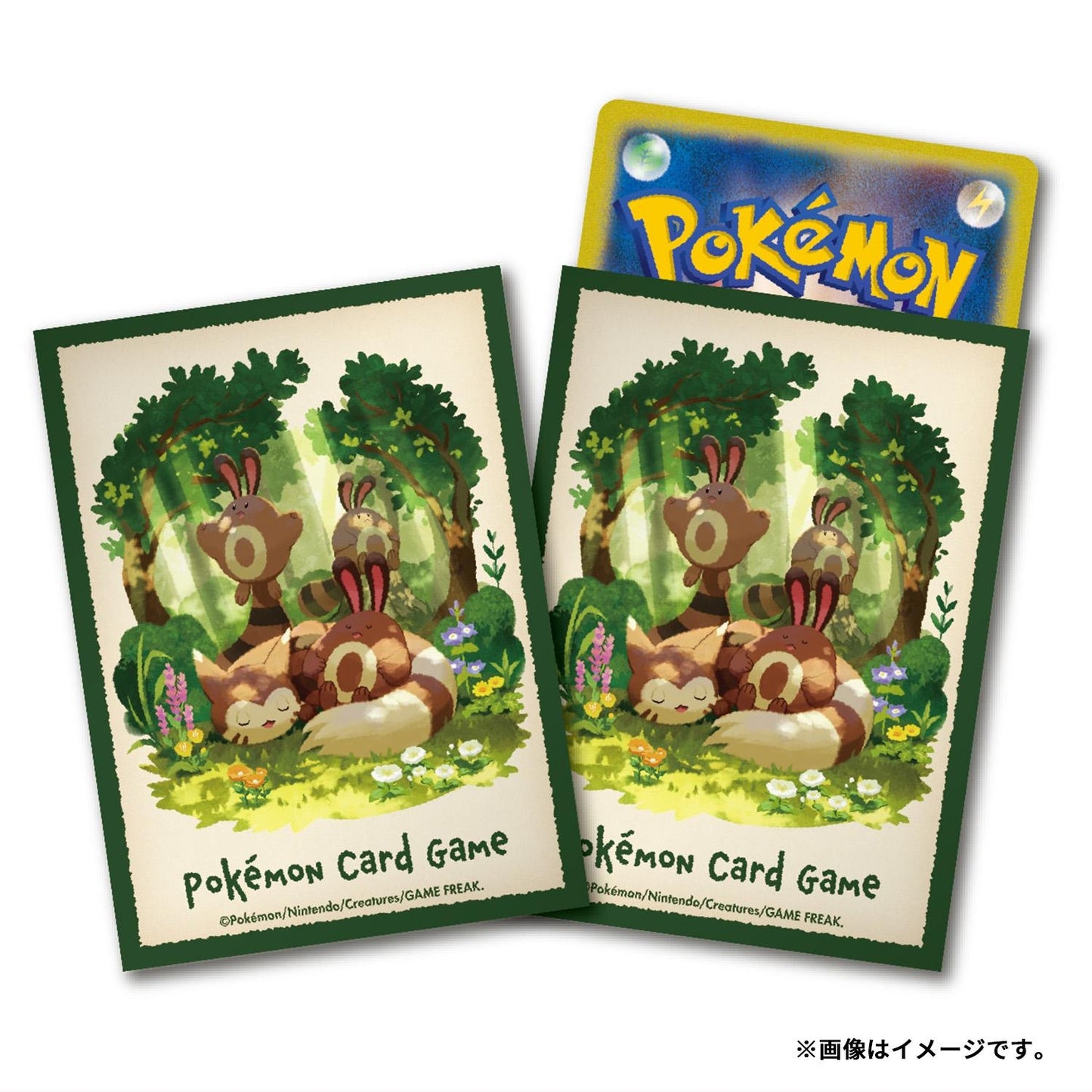 Pokémon TCG Deck Shield “Furret & Sentret” | 64-Sleeve Set | Cute Pokémon Companions Edition